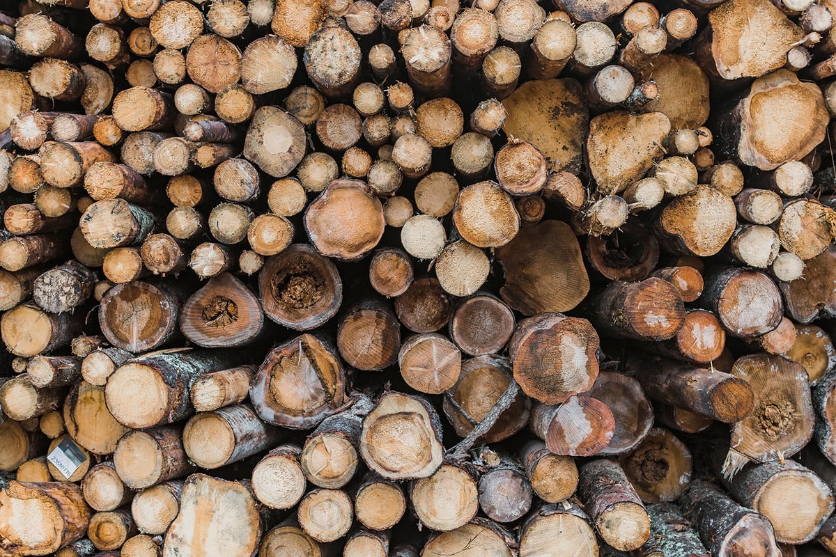 Lower carbon footprint with wood