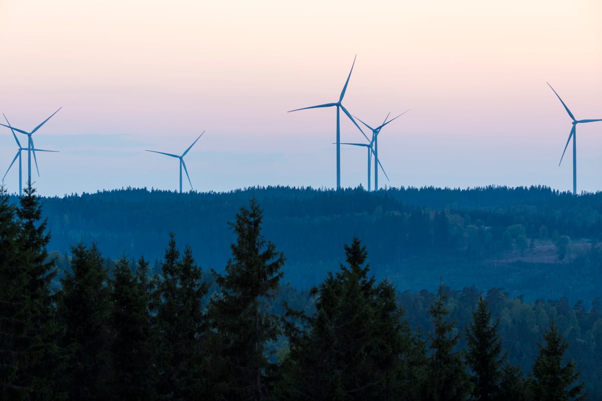Recognized sustainability efforts